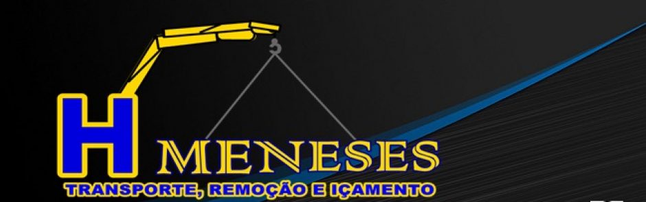 H MENESES  